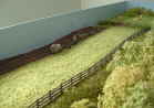 Fairhaven - Farmer ploughs his field